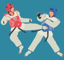 Spor-Taekwondo Ders Talebi