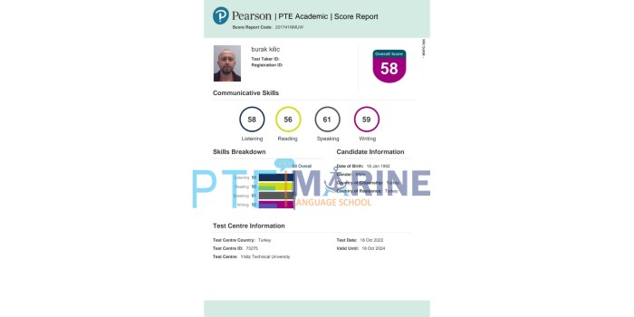 PTE MARINE EĞİTİM VE DİL OKULLARI LTD STI