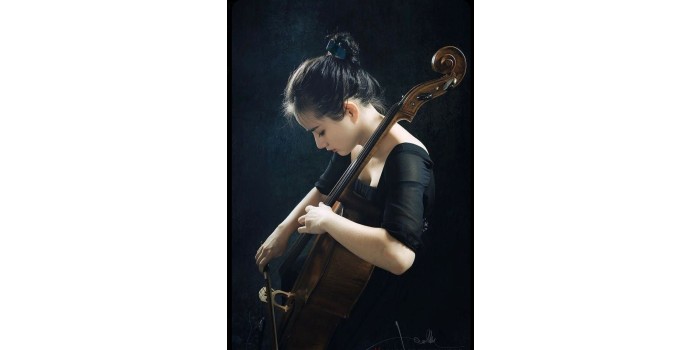 T.C. MEB ÖZEL MELODİ SANAT AKADEMİSİ EĞİTİM KURUMLARI