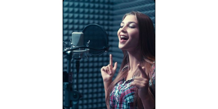 T.C. MEB ÖZEL MELODİ SANAT AKADEMİSİ EĞİTİM KURUMLARI