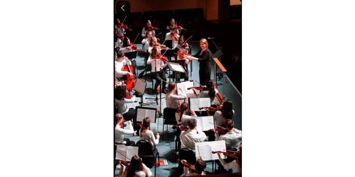 T.C. MEB ÖZEL MELODİ SANAT AKADEMİSİ EĞİTİM KURUMLARI