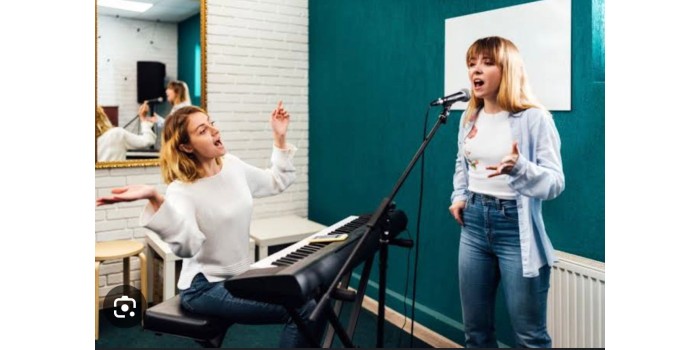 T.C. MEB ÖZEL MELODİ SANAT AKADEMİSİ EĞİTİM KURUMLARI