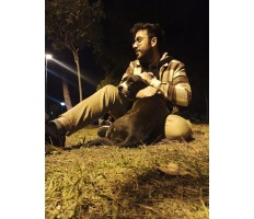 kule63