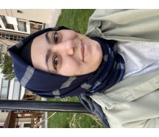zybh