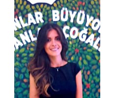 Gül T.