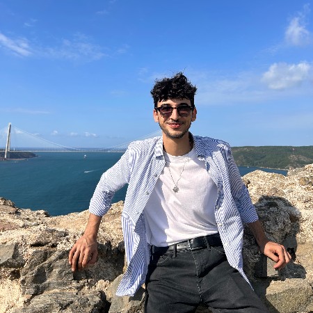 Taha Alparslan A.