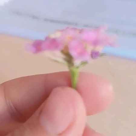 ogretmenqa6mtc