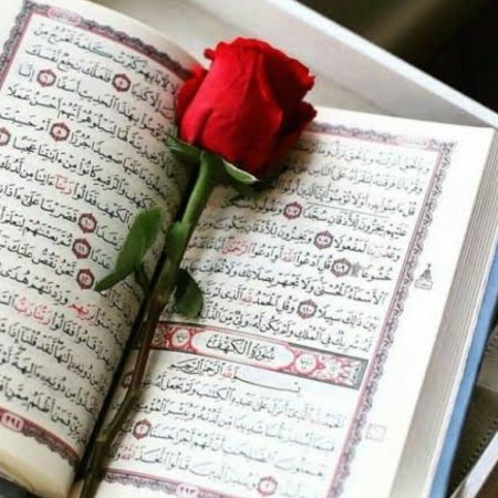 ogretmen6jd4zn