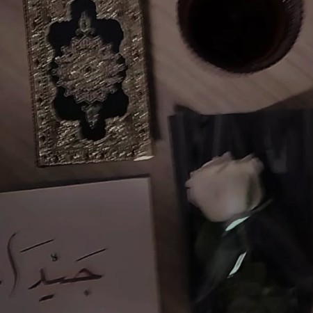 ogretmens3zo53