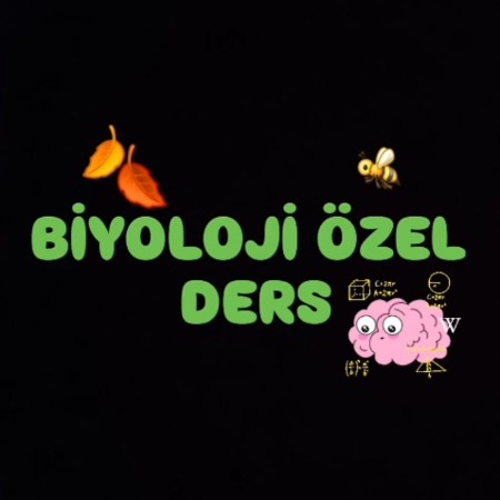 ogretmenekyxzb