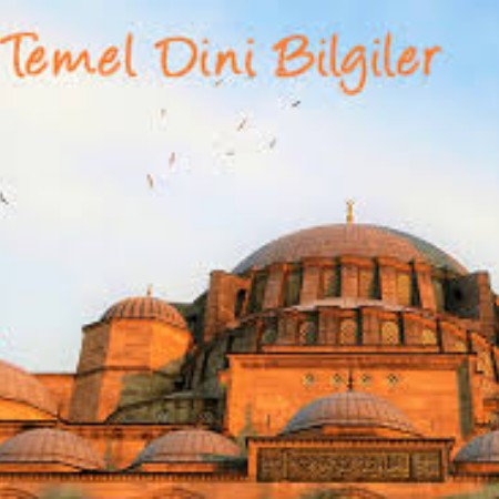 Nurcan B.