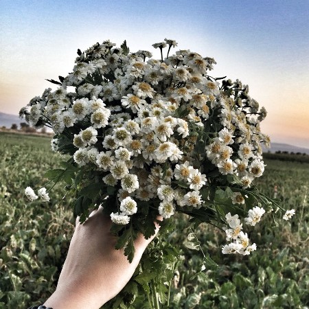 ogretmenle8f92