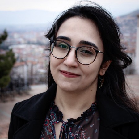 Duygu