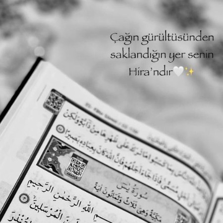 ogretmenikfwbv