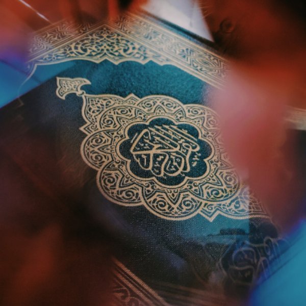 Şüheda Y.