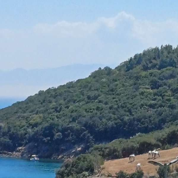ogretmenl76emm
