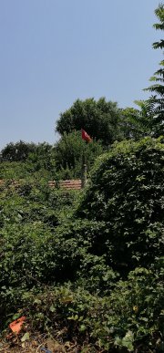 turkce-edebiyat